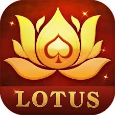 all rummy rs 50 bonus download